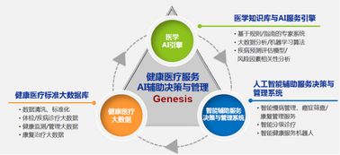 基于AI與系統論的醫學全流程革新 經綸世紀的數據處理服務體系